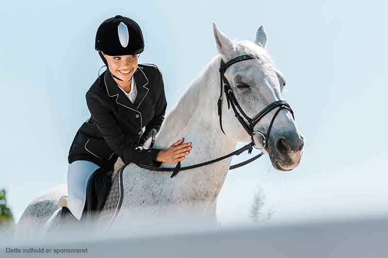 Find det perfekte moderne ridetøj hos Envy Equestrian