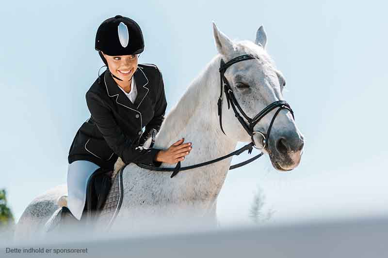 Find det perfekte moderne ridetøj hos Envy Equestrian